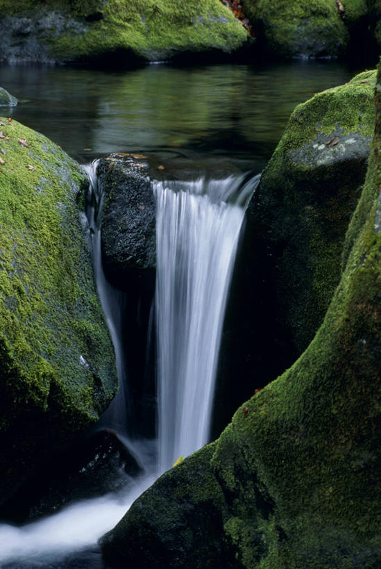 无人,竖图,室外,白天,正面,旅游,度假,河流,石头,美景,瀑布,山,山脉,水,日本,亚洲,飞溅,朦胧,模糊,溅,石子,液体,河水,景观,山峰,水滴,水流,青苔,苔藓,山峦,娱乐,水珠,小溪,自然,群山,溪水,享受,休闲,景色,放松,喷洒,自然风光,东亚,日本国,九州本岛,九州,九州岛,九州地方,熊本,熊本县,菊池溪谷,跌水,石块,岩石,彩图,菊池市