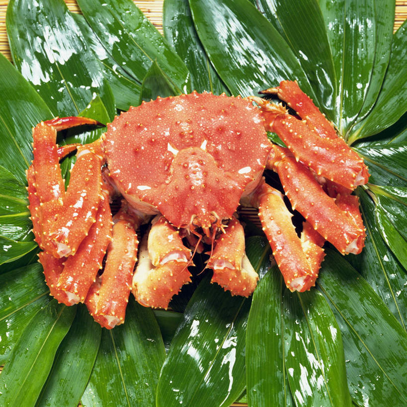 海鲜,无人,方图,俯视,室外,特写,白天,桌子,叶子,皇后蟹,粽叶,绿叶,水产,海洋生物,一只,红色,绿色,垫子,嫩叶,皮匠蟹,雪蟹,水生动物,海产品,水生物,海底动物,叶,叶片,彩图,高角度拍摄,全身