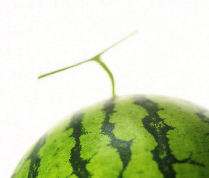 无人,横图,俯视,室内,特写,白天,白色背景,西瓜,水果,新鲜,生食,食品,果实,食物,一个,绿色,摄影,有机食品,绿色食品,影棚,单个,寒瓜,彩图,高角度拍摄,影棚拍摄,拍摄