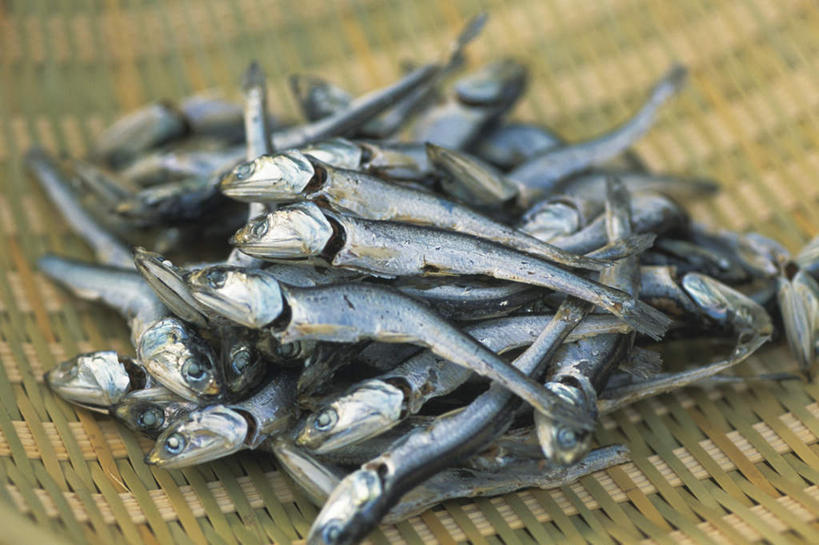 海鲜,无人,横图,俯视,室内,特写,白天,桌面,一堆,许多,堆叠,堆积,朦胧,模糊,干燥,篮子,鱼干,水产,海洋生物,白色,堆,水生动物,海产品,水生物,海底动物,鳀鱼,彩图,高角度拍摄