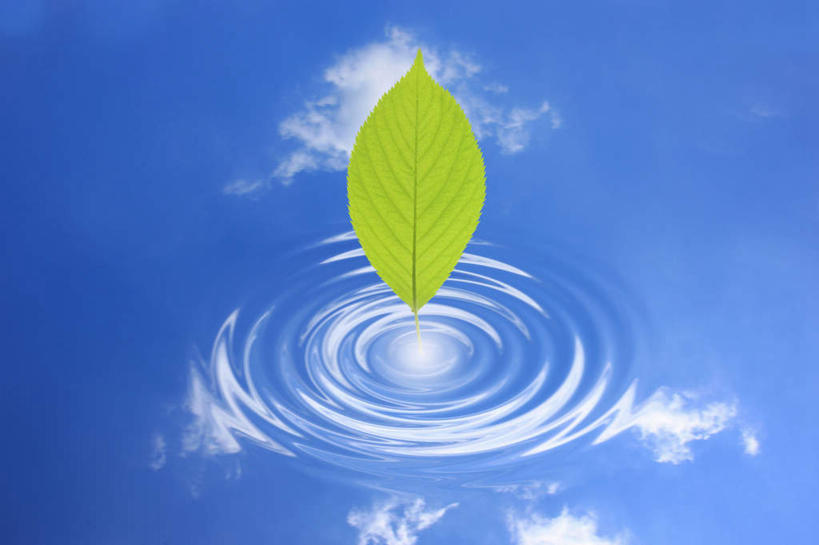 无人,横图,插画,室内,白天,正面,数码,科技,叶子,一片,阴影,网络,云,云朵,绿叶,水波,高光,几何,计算机图形,合成,云彩,图画,画,蓝色,白云,蓝天,天空,天,嫩叶,晴朗,电脑合成图,数码合成图,漫画,写实,具体,具象,叶,叶片,晴空,彩图