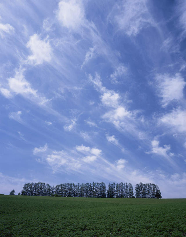 无人,农田,竖图,室外,白天,仰视,旅游,度假,庄稼,农作物,草地,草坪,美景,树林,植物,北海道,日本,亚洲,许多,景观,云,云朵,云彩,娱乐,草,树,树木,蓝色,绿色,白云,蓝天,天空,自然,天,享受,休闲,景色,放松,生长,晴朗,成长,自然风光,东亚,日本国,北海道地方,北海道岛,美瑛町,美瑛,晴空,彩图,低角度拍摄,耕地,庄稼田