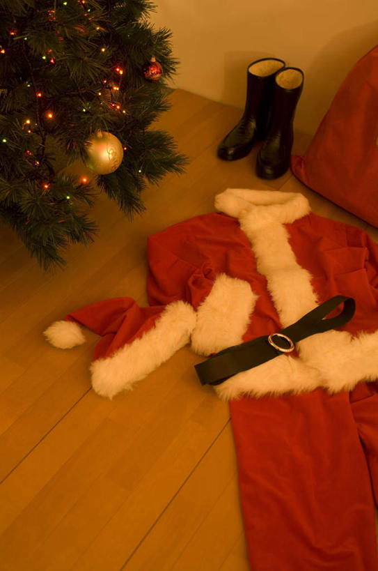 无人,竖图,俯视,室内,白天,植物,地板,鞋子,照明,圣诞节,一棵,一双,阴影,节日,庆祝,反射,彩灯,影子,墙,灯光,圣诞树,地面,文化,木地板,墙壁,墙面,灯,树,树木,衣服,红色,绿色,黑色,自然,灯具,庆典,生长,成长,纪念,照亮,照明设备,圣诞衣,彩图,高角度拍摄