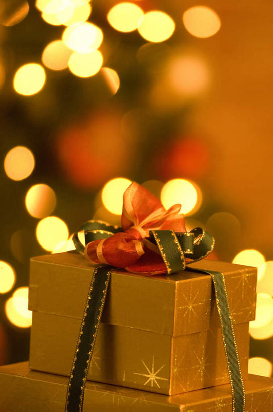 无人,竖图,室内,特写,白天,正面,植物,台灯,礼盒,礼物,照明,圣诞节,节日,朦胧,模糊,庆祝,装饰,彩灯,方格,纸盒,灯光,圣诞树,缎带,文化,灯,盒子,树,树木,一个,红色,绿色,自然,包装盒,蝴蝶结,礼品盒,灯具,庆典,礼品,生长,单个,成长,纪念,华丽,修饰,照亮,点缀,照明设备,衬托,美观,雅致,雅观,彩图