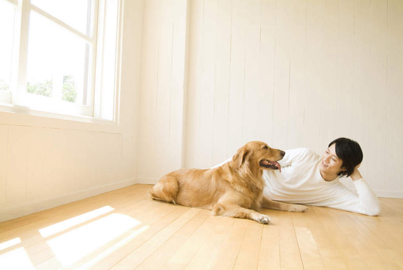 东方人,头发,一个人,躺,笑,摸,微笑,露齿笑,横图,室内,白天,正面,浴袍,植物,窗户,地板,宠物,狗,亚洲,仅一个男性,仅一个人,撑,抚摸,阴影,光线,影子,墙,地面,扭头,注视,黄种人,木地板,玻璃窗,墙壁,墙面,树,树木,仅一个年轻男性,一只,黄色,绿色,白色,黑色,阳光,自然,动物,观察,看,张嘴,转头,可爱,生长,成长,观看,察看,撑着,关注,张大嘴巴,忠诚,卧着,男人,男性,年轻男性,亚洲人,张开嘴,犬,触摸,接触,躺着,卧,彩图,全身,汤帷子,浴衣