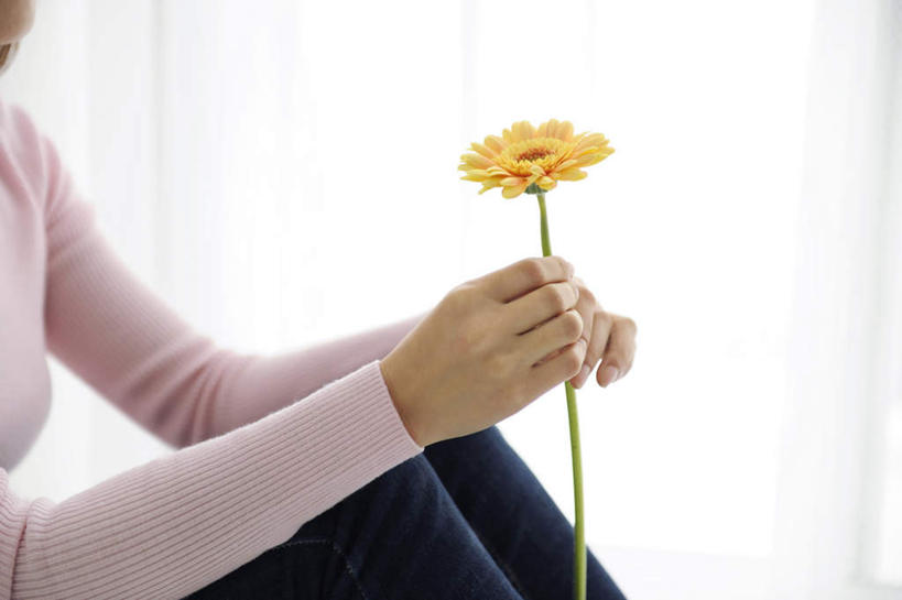 东方人,一个人,坐,举,横图,室内,特写,白天,侧面,植物,窗户,窗帘,落地窗,亚洲,仅一个年轻女性,仅一个女性,仅一个人,握,盛开,非洲菊,拿,拿着,黄种人,玻璃窗,花,花瓣,花朵,花卉,鲜花,一朵,黄色,花蕊,托,菊花,握着,扶郎花,灯盏花,千日菊,年轻女性,女人,女性,亚洲人,举起,举手,举着,向上举,向上伸,向上托,坐着,半身,彩图