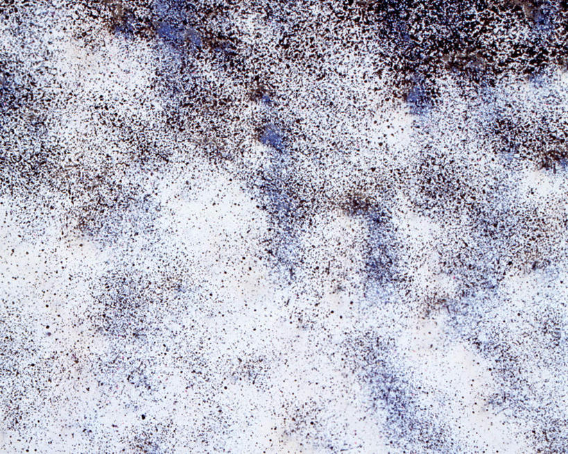 无人,横图,室外,特写,白天,正面,建筑,阴影,粗糙,褶皱,反射,图案,纹理,影子,墙,褐色,墙壁,墙面,白色,肌理,彩图