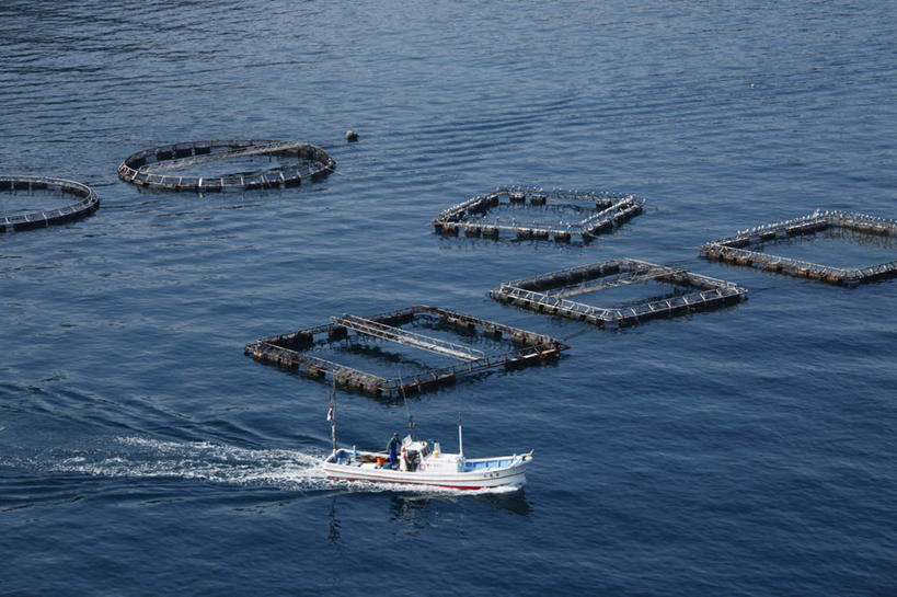 东方人,一个人,站,横图,俯视,室外,白天,旅游,度假,养殖场,海浪,海洋,美景,轮船,船,京都,日本,亚洲,仅一个男性,仅一个人,仅一个中年男性,一艘,波纹,飞溅,溅,液体,景观,浪花,水滴,黄种人,娱乐,水珠,水纹,自然,海水,船尾波,交通工具,波浪,站着,享受,休闲,景色,放松,京都府,喷洒,自然风光,载具,海景,东亚,本州,本州岛,日本国,近畿地方,近畿,男人,男性,中年男性,亚洲人,大海,风浪,海,海水的波动,近岸浪,涌浪,站立,彩图,高角度拍摄,全身