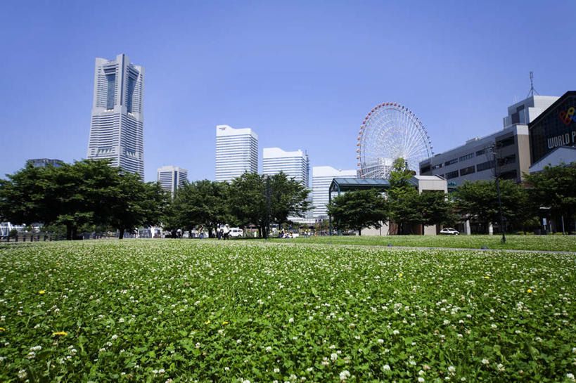 无人,高楼大厦,横图,室外,白天,仰视,度假,办公楼,草地,草坪,美景,植物,城市风光,标志建筑,城市,大厦,地标,建筑,摩天大楼,写字楼,神奈川,日本,亚洲,景观,横滨,横滨市,神奈川县,娱乐,建设,草,树,树木,蓝色,绿色,蓝天,天空,自然,楼宇,天,享受,休闲,商务楼,景色,放松,生长,成长,东亚,本州,首府,关东地方,本州岛,日本国,横滨地标塔,横滨地标塔大厦,横滨路标塔,彩图,低角度拍摄,大楼,高层建筑,高楼,摩天楼