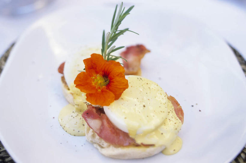 无人,横图,俯视,室内,特写,白天,早餐,餐具,阴影,装饰,盛开,光线,碟子,盘,影子,蛋,荷包蛋,鸡蛋,煎蛋,肉,花蕾,肉类,花,花瓣,花朵,鲜花,一朵,红色,阳光,盘子,碟,花苞,花蕊,早点,华丽,修饰,熏肉,点缀,迷迭香,肉食,海洋之露,衬托,美观,雅致,雅观,卵,煎鸡蛋,彩图,高角度拍摄