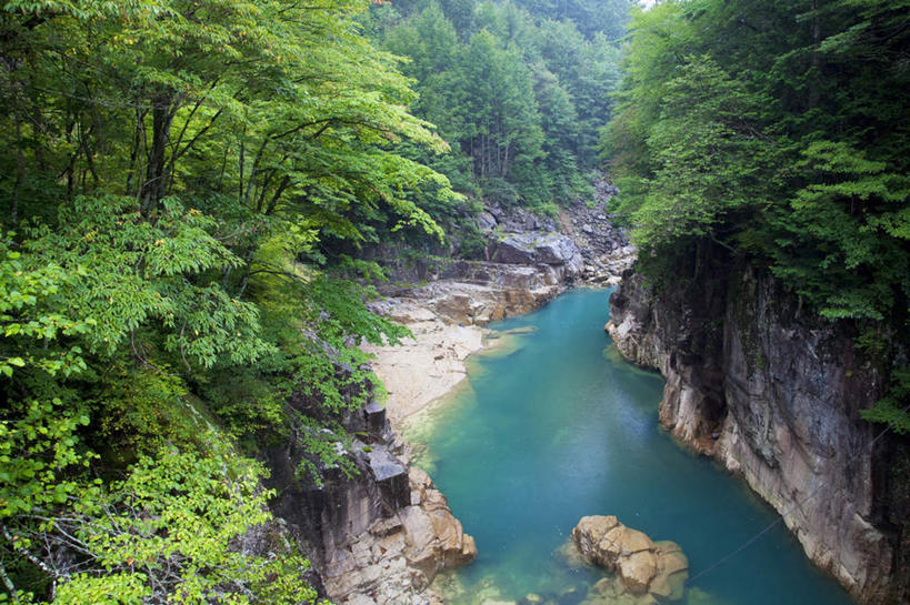 无人,横图,俯视,航拍,室外,白天,旅游,度假,河流,美景,山,树林,水,峡谷,植物,富山县,日本,亚洲,许多,河水,景观,山峰,水流,山峦,娱乐,树,树木,绿色,小溪,自然,溪水,享受,休闲,景色,放松,生长,成长,鸟瞰,自然风光,东亚,本州,本州岛,日本国,中部地方,富山,彩图,高角度拍摄