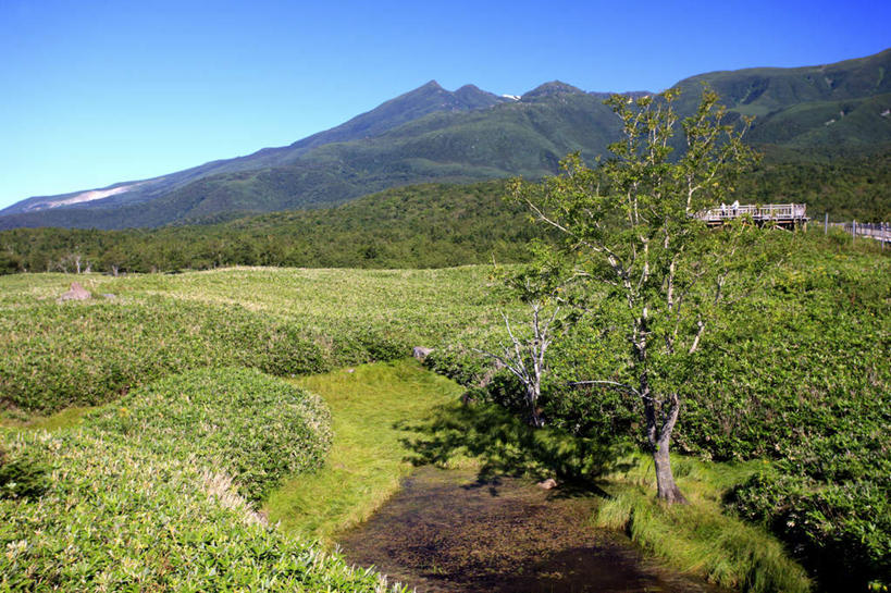 无人,公园,横图,俯视,航拍,室外,白天,旅游,度假,草地,草坪,山,山脉,植物,北海道,日本,亚洲,景观,山川,山峰,山峦,娱乐,草,树,树木,蓝色,绿色,蓝天,天空,自然,群山,天,享受,休闲,景色,放松,生长,晴朗,成长,国家公园,鸟瞰,自然风光,东亚,万里无云,日本国,北海道地方,北海道岛,知床半岛,知床国家公园,晴空,晴空万里,彩图,高角度拍摄