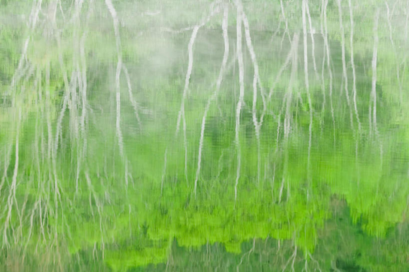 无人,横图,俯视,室外,白天,旅游,度假,湖,湖泊,美景,树林,水,植物,长野县,日本,亚洲,阴影,波纹,朦胧,模糊,光线,影子,湖面,景观,水流,水面,涟漪,娱乐,树,树木,绿色,倒影,水纹,阳光,自然,波浪,湖水,享受,休闲,景色,放松,生长,成长,自然风光,东亚,本州,本州岛,日本国,中部地方,水晕,长野,志贺高原,彩图,高角度拍摄