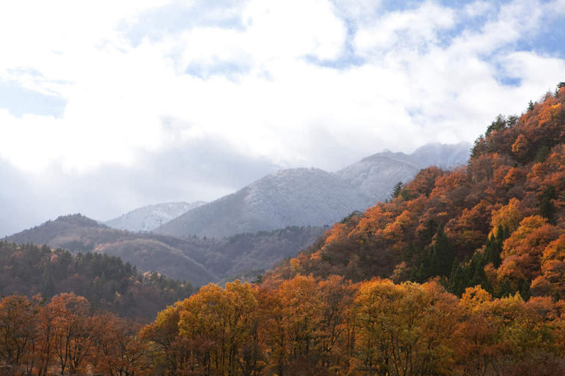 无人,横图,室外,白天,正面,旅游,度假,美景,树林,植物,叶子,日本,亚洲,许多,阴影,光线,影子,景观,云,云朵,枯叶,落叶,云彩,娱乐,树,树木,红色,蓝色,绿色,白云,蓝天,天空,阳光,自然,天,享受,休闲,景色,放松,生长,晴朗,成长,自然风光,东亚,本州,本州岛,日本国,中部地方,岐阜,岐阜县,叶,叶片,晴空,彩图,大野郡,白川村