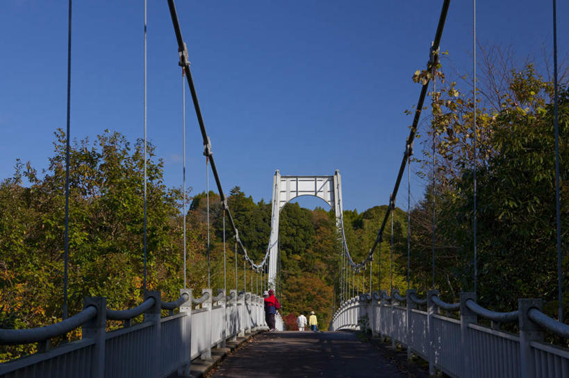 东方人,三个人,横图,室外,白天,仰视,旅游,度假,湖,湖泊,美景,秋季,树林,水,植物,大桥,立交桥,桥梁,叶子,日本,亚洲,许多,行人,阴影,波纹,服装,光线,影子,湖面,景观,水流,水面,高架,斜拉桥,桥,枯叶,落叶,涟漪,千叶县,注视,休闲装,黄种人,娱乐,路人,树,树木,衣服,红色,绿色,水纹,阳光,自然,波浪,湖水,观察,看,享受,休闲,休闲服,景色,放松,服饰,生长,成长,观看,察看,关注,自然风光,东亚,本州,万里无云,关东地方,本州岛,日本国,水晕,千叶,过客,男人,男性,女人,女性,中年男性,中年女性,亚洲人,叶,叶片,秋,秋天,彩图,低角度拍摄,全身