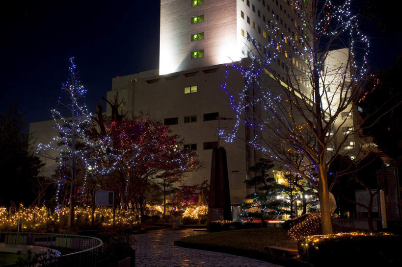 无人,家,高楼大厦,商店,广场,栏杆,横图,室外,夜晚,正面,购物,度假,消费,草地,草坪,美景,植物,楼梯,城市风光,超市,城市,大厦,道路,建筑,路,摩天大楼,夜景,日本,圣诞节,亚洲,阴影,节日,庆祝,光线,扶手,影子,房屋,阶梯,石凳,屋子,景观,公寓,建筑群,小路,灯光,交通,文化,娱乐,建设,洋房,护栏,楼房,台阶,住宅,草,树,树木,一个,蓝色,绿色,蓝天,天空,自然,石碑,天,庆典,享受,休闲,景色,放松,金融,百货,生长,单个,成长,纪念,服装店,选购,贸易,百货公司,东亚,服饰店,本州,本州岛,日本国,中部地方,福井,福井县,血拼,彩图,房子,大楼,高层建筑,高楼,购物商场,购物中心,摩天楼,商业中心