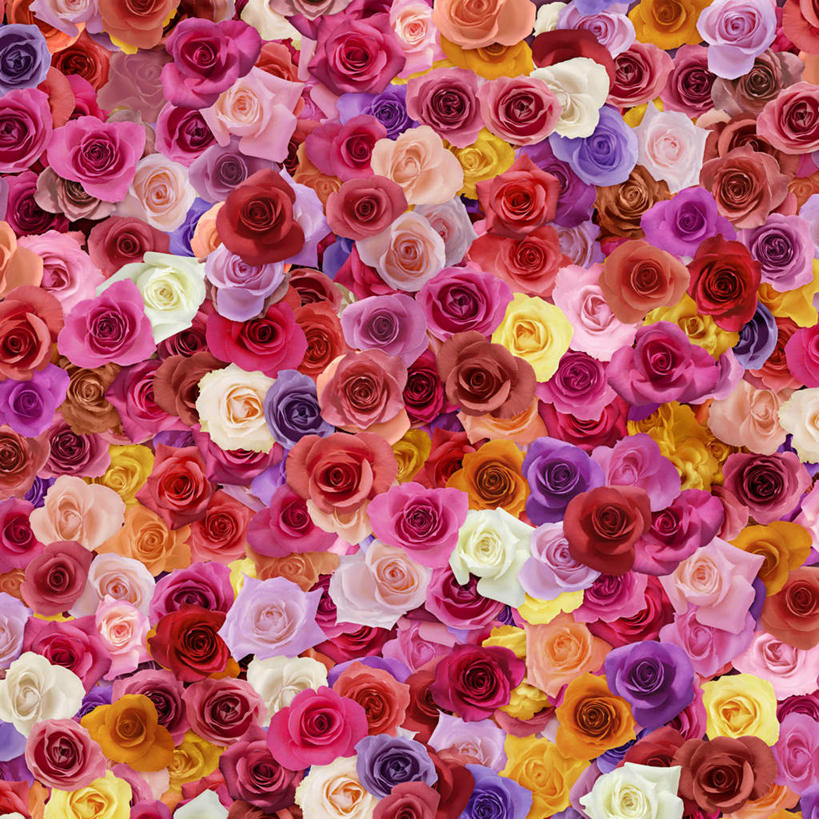 无人,方图,插画,室内,白天,正面,爱情,幸福,纯洁,热情,数码,科技,玫瑰,许多,阴影,盛开,网络,玫瑰花,高光,几何,计算机图形,浪漫,合成,花蕾,图画,画,花,花瓣,花朵,鲜花,排列,粉色,黄色,红色,紫色,白色,花苞,花蕊,温暖,温馨,橘色,恩爱,电脑合成图,数码合成图,和睦,队列,感动,漫画,写实,具体,具象,尊敬,天真,刺玫花,徘徊花,墙纸,彩图,融洽