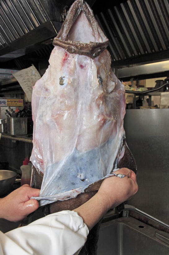 东方人,手,一个人,厨师,拉,竖图,室内,特写,白天,正面,烹饪,厨房,厨具,亚洲,仅一个男性,仅一个人,许多,阴影,反射,工具,水槽,水龙头,影子,塑料,料理,食品,调味料,黄种人,干净,菜肴,美食,食物,仅一个年轻男性,一个,塑料制品,碗,日式,手部,剥皮,佳肴,单个,鱼钩,卫生,安康鱼,蛤蟆鱼,老头鱼,结巴鱼,丑婆,鮟鱇,鮟鱇鱼,哈蟆鱼,海哈蟆,琵琶鱼,男人,男性,年轻男性,亚洲人,厨师长,厨子,大厨,主厨,洗涤用具,洗涤,半身,彩图,灶间