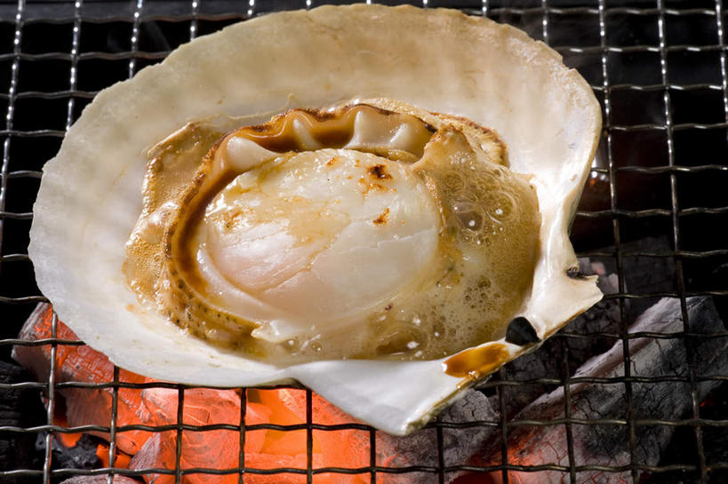 海鲜,无人,横图,俯视,室内,白天,烧烤,火,一排,许多,整齐,贝类,方格,火焰,烤架,烤肉,燃烧,扇贝,水产,海洋生物,排列,一个,红色,铁架,单个,明亮,队列,水生动物,海产品,水生物,海底动物,彩图,高角度拍摄