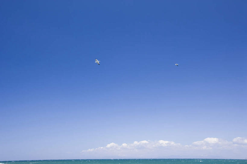 无人,横图,室外,白天,正面,旅游,度假,海浪,海洋,美景,海鸟,海鸥,鸟,日本,亚洲,飞行,鸟类,景观,浪花,水平线,辽阔,海平线,娱乐,蓝色,蓝天,天空,自然,海水,天,两只,享受,休闲,广阔,景色,放松,晴朗,一望无际,自然风光,海景,东亚,本州,万里无云,本州岛,日本国,青森,青森县,东北地方,无边无际,一马平川,大海,风浪,海,海水的波动,近岸浪,涌浪,晴空,晴空万里,彩图,水天相接,水天一线
