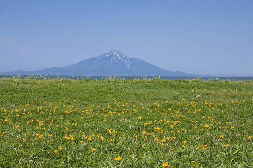 无人,横图,室外,白天,正面,旅游,度假,花海,花圃,美景,山,山脉,植物,萱草,叶子,日本,亚洲,盛开,地平线,景观,山峰,辽阔,地面,山峦,花蕾,娱乐,花,花瓣,花朵,花卉,鲜花,绿色,自然,花丛,花束,花田,群山,花苞,花蕊,享受,休闲,广阔,景色,放松,一望无际,自然风光,延伸,东亚,日本国,天地相交,疗愁,萱草花,宜男,无边无际,一马平川,忘忧草,金针菜,黄花菜,黄花,彩图