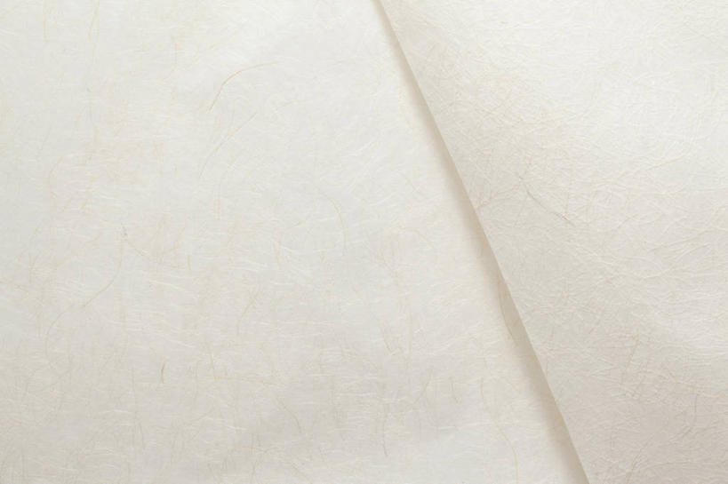 无人,横图,俯视,室内,特写,白天,静物,纸,纸张,白色,白纸,卫生,纯真,洁净,光明,恬静,中间色,朴素,清白,彩图,高角度拍摄