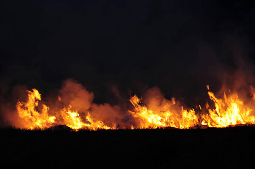 无人,农田,横图,室外,夜晚,正面,热情,庄稼,农作物,火,日本,亚洲,火焰,千叶县,燃烧,火灾,灾难,东亚,本州,关东地方,本州岛,日本国,千叶,劫难,磨难,灾祸,彩图,耕地,庄稼田,灾害