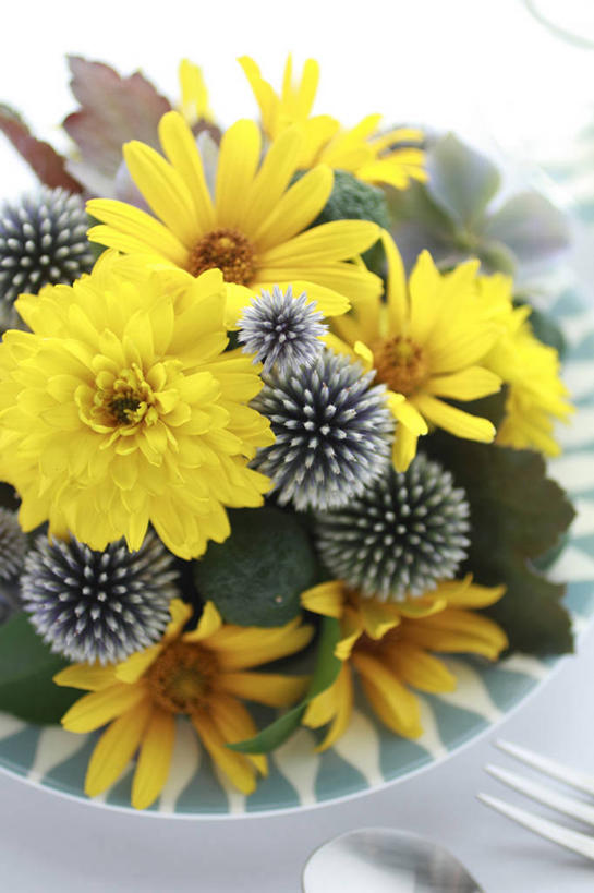 无人,竖图,俯视,室内,特写,白天,自由,幸福,餐具,阴影,朦胧,模糊,盛开,反射,叉子,碟子,盘,影子,勺子,波斯菊,花蕾,花,花瓣,花朵,鲜花,黄色,盘子,调羹,碟,汤匙,花苞,花蕊,清洁,菊花,大波斯菊,吉祥,餐叉,高洁,秋英,格桑花,秋樱,扫帚梅,八瓣梅,初恋,多情,蓝刺头,进餐用具,彩图,高角度拍摄,驴欺口,时光