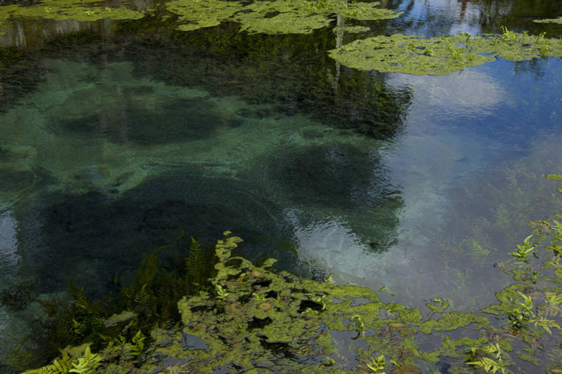 无人,横图,俯视,室外,白天,旅游,度假,湖,湖泊,美景,水,印度尼西亚,印尼,亚洲,阴影,光线,影子,湖面,景观,水流,水面,青苔,苔藓,娱乐,阳光,自然,湖水,享受,休闲,景色,巴厘岛,放松,东南亚,自然风光,印度尼西亚共和国,巴厘省,彩图,高角度拍摄