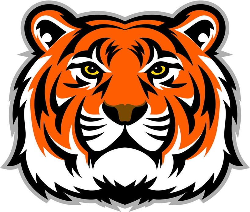 脸,头,脸颊,无人,横图,插画,室内,白天,正面,数码,科技,哺乳动物,虎,野生动物,阴影,花纹,网络,高光,几何,计算机图形,合成,图画,注视,画,一只,动物,观察,看,橙色,观看,电脑合成图,数码合成图,察看,关注,斑纹,凶猛,漫画,写实,具体,具象,虎纹,残暴,凶残,头部,脸部,脸蛋,面部,老虎,半身,彩图