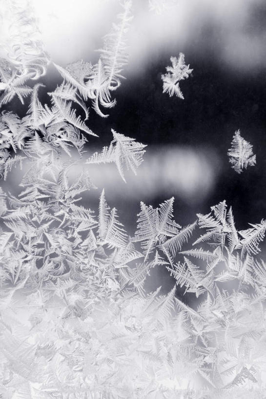 无人,竖图,室内,白天,正面,雪,大雪,朦胧,模糊,漂浮,装饰,飘扬,积雪,雪景,冬季,冬天,飘落,寒冷,下沉,华丽,修饰,点缀,冰冷,降落,衬托,美观,雅致,雅观,严寒,冰凉,酷寒,凛冽,凛凛,极冷,飘零,彩图