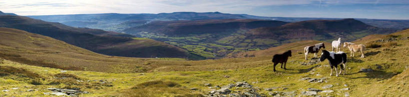 无人,站,横图,全景,室外,白天,正面,旅游,度假,草地,草坪,美景,山,山脉,植物,马,野生动物,英国,欧洲,阴影,光线,影子,景观,山峰,云,云朵,山峦,云彩,娱乐,草,四匹,蓝色,绿色,白云,蓝天,天空,阳光,自然,动物,群山,天,站着,享受,休闲,景色,放松,运输,牲畜,晴朗,西欧,自然风光,大不列颠,威尔士,大不列颠及北爱尔兰联合王国,大不列颠联合王国,日不落英帝国,威尔士公国,晴空,站立,彩图