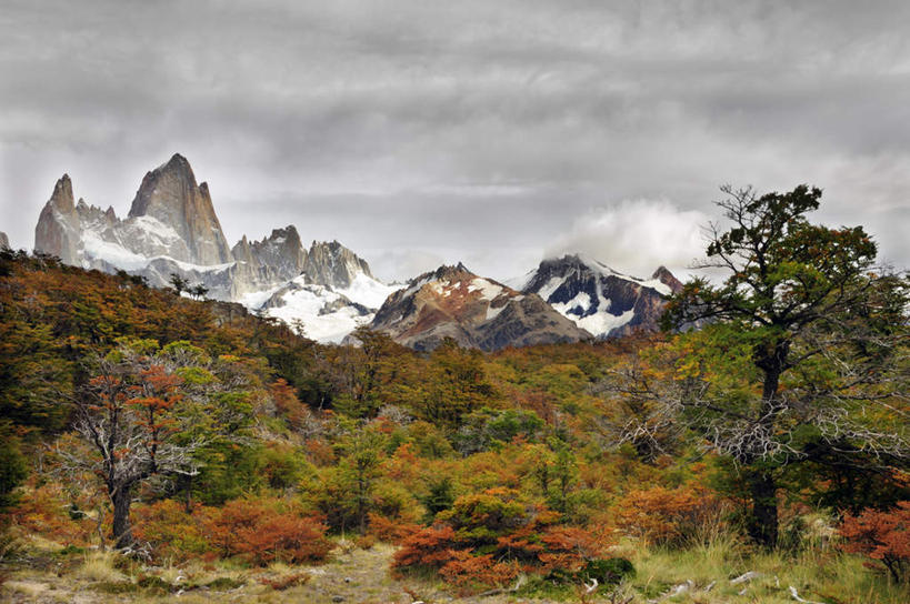 无人,横图,室外,白天,正面,旅游,度假,美景,山,树林,雪,雪山,植物,大雪,冰,积雪,景观,山峰,雪景,云,云朵,冬季,冬天,山峦,云彩,娱乐,树,树木,蓝色,绿色,白云,蓝天,天空,自然,天,享受,休闲,景色,放松,寒冷,生长,晴朗,成长,冰冷,自然风光,严寒,冰凉,酷寒,凛冽,凛凛,极冷,安第斯山脉,晴空,彩图