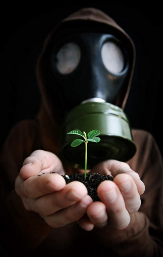 西方人,一个人,捧,竖图,室内,特写,白天,正面,安全,叶子,欧洲,欧洲人,仅一个男性,仅一个人,四片,一棵,黑色背景,环保,分离,面具,器材,泥土,土壤,绿叶,防护,过滤,嫩苗,分开,仅一个年轻男性,一个,树苗,嫩叶,隔断,遮掩,摄影,影棚,能源,单个,保护,隔离,回收,资源,掩盖,遮挡,面罩,净化,间隔,防毒面具,利用,低碳,遮盖,循环,掩饰,断绝,隔开,屏蔽,屏绝,远离,中断,阻遏,阻隔,导气管,防护器材,滤毒罐,持续,男人,男性,年轻男性,白种人,叶,叶片,端,端着,捧着,手捧,半身,彩图,影棚拍摄,拍摄