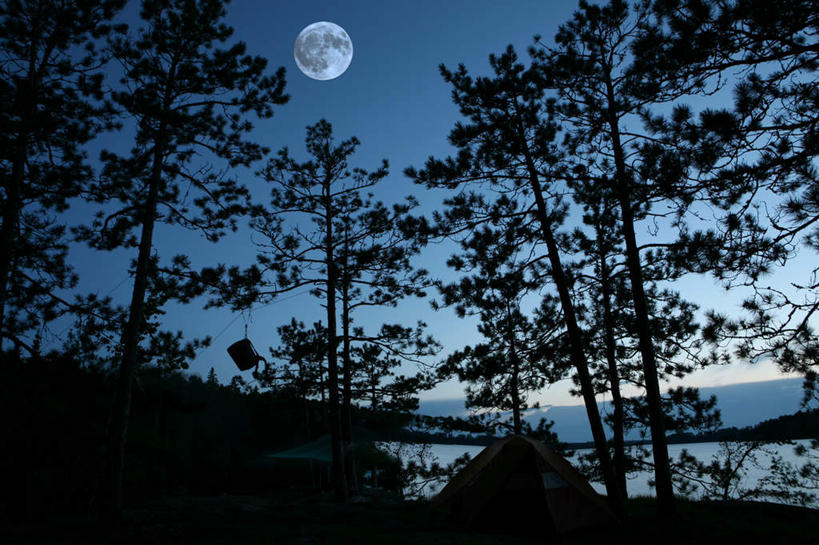 无人,横图,室外,白天,仰视,旅游,度假,美景,森林,树林,植物,美国,景观,月亮,月光,娱乐,树,树木,蓝色,绿色,蓝天,天空,自然,天,享受,休闲,景色,放松,生长,晴朗,成长,明亮,北美,北美洲,自然风光,美洲,万里无云,明尼苏达州,北亚美利加洲,亚美利加洲,皎洁,明尼苏达,北星之州,晴空,晴空万里,彩图,低角度拍摄