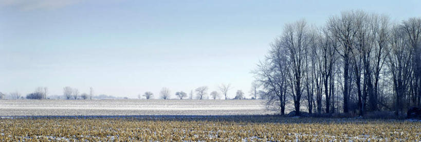 无人,横图,全景,室外,白天,正面,旅游,度假,美景,天际线,叶子,一棵,阴影,枯萎,光线,影子,景观,枯树,枯叶,落叶,枝条,娱乐,树,树干,树木,树枝,天空,阳光,自然,天,享受,休闲,景色,放松,生长,成长,自然风光,叶,叶片,彩图