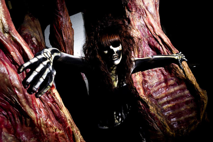 西方人,骨骼,一个人,横图,室内,白天,正面,欧洲,欧洲人,仅一个年轻女性,仅一个女性,仅一个人,阴影,光线,骷髅,面具,影子,灯光,肉,骨头,肉类,骨架,恐怖,肉食,可怕,可骇,恐惧,年轻女性,女人,女性,白种人,半身,彩图