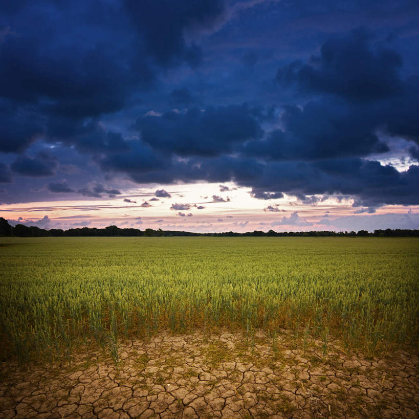 无人,方图,室外,白天,正面,旅游,度假,草地,草坪,荒凉,美景,森林,树林,植物,阴影,缝隙,裂缝,光线,影子,景观,云,云朵,云彩,娱乐,草,树,树木,蓝色,绿色,白云,蓝天,天空,阳光,自然,天,享受,休闲,景色,放松,生长,晴朗,成长,自然风光,漏洞,荒地,荒芜,晴空,彩图