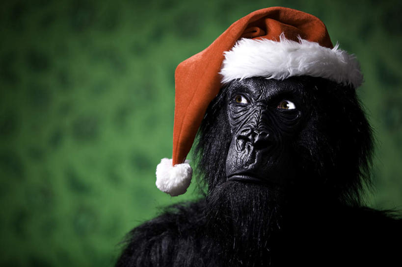 西方人,一个人,横图,室内,特写,白天,正面,帽子,欧洲,圣诞节,欧洲人,仅一个男性,仅一个人,节日,朦胧,模糊,庆祝,面具,注视,文化,仅一个年轻男性,红色,观察,看,庆典,圣诞帽,观看,纪念,察看,关注,棉帽,妆扮,男人,男性,年轻男性,白种人,半身,彩图,打扮,装扮