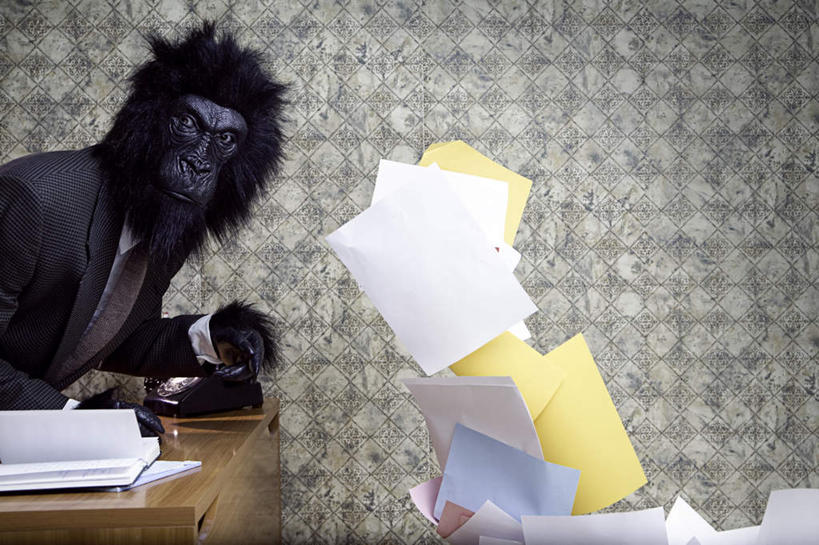 西方人,一个人,商务人士,商务男性,横图,室内,白天,侧面,衬衫,桌子,猩猩,欧洲,欧洲人,仅一个男性,仅一个人,仅一个中年男性,许多,戴,套装,木制,材料,档案,面具,文件,很多,凌乱,注视,一个,木制品,资料,观察,看,趴着,单个,观看,戴着,察看,混乱,关注,大猩猩,飞扬,文档,商务装,工薪阶层,金刚猩猩,纷乱,缭乱,庞杂,妆扮,男人,男性,中年男性,白种人,白领,上班族,趴,半身,彩图,衬衣,打扮,装扮