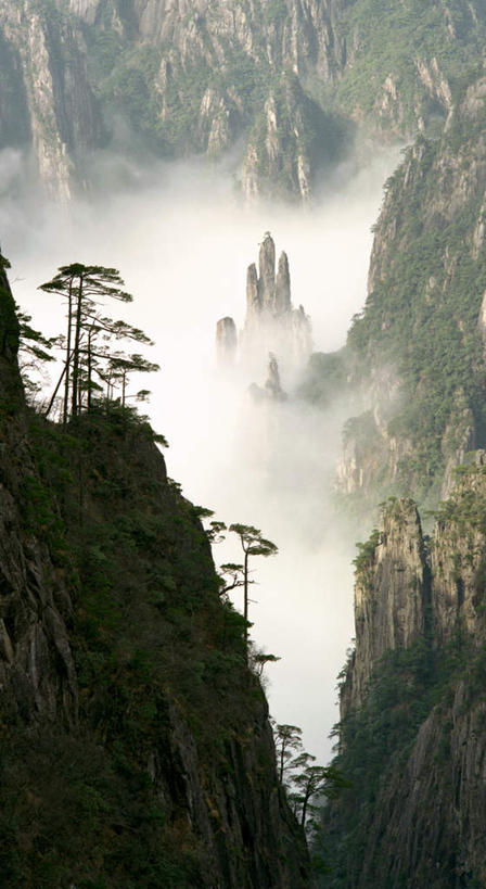 无人,竖图,俯视,航拍,室外,白天,旅游,度假,华山,美景,山,山脉,树林,植物,雾,松树,中国,亚洲,朦胧,模糊,景观,山峰,云,云朵,山峦,云彩,娱乐,树,树木,绿色,白云,自然,群山,享受,休闲,景色,放松,生长,成长,迷雾,鸟瞰,自然风光,坚定,东亚,安徽,安徽省,中华人民共和国,华东地区,长寿,皖,贞洁,奇险天下第一山,西岳,西岳华山,大雾,彩图,高角度拍摄