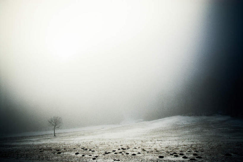 无人,横图,室外,白天,正面,旅游,度假,荒凉,石头,美景,雪,植物,雾,大雪,一棵,覆盖,朦胧,模糊,石子,积雪,景观,雪景,冬季,冬天,荒漠,娱乐,树,树木,绿色,自然,享受,休闲,景色,放松,寒冷,生长,成长,迷雾,自然风光,遮盖,严寒,笼罩,笼盖,冷落,荒芜,石块,岩石,大雾,彩图