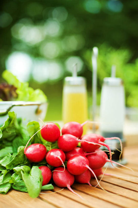 无人,竖图,室外,白天,正面,聚会,旅游,度假,美景,植物,萝卜,胡萝卜,蔬菜,一堆,许多,堆叠,堆积,朦胧,模糊,新鲜,景观,食品,野餐,很多,娱乐,食物,绿色,自然,享受,休闲,景色,放松,有机食品,绿色食品,生长,成长,堆,放置,搁置,安排,自然风光,野炊,红萝卜,甘荀,彩图