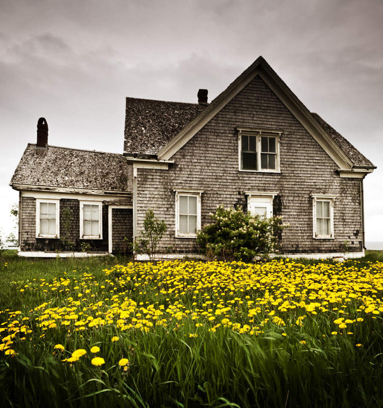 无人,家,竖图,室外,白天,正面,旅游,度假,草地,草坪,美景,植物,加拿大,阴影,光线,影子,房屋,屋子,景观,破坏,娱乐,楼房,破损,住宅,草,蓝色,绿色,蓝天,天空,阳光,自然,天,享受,休闲,景色,放松,晴朗,损坏,北美,北美洲,自然风光,美洲,丢弃,抛弃,万里无云,北亚美利加洲,亚美利加洲,爱德华王子岛,遗弃,摈弃,扔掉,扔弃,甩掉,扬弃,晴空,晴空万里,彩图,房子