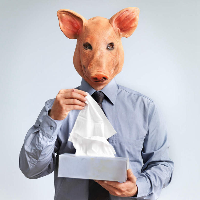 西方人,脸,头,脸颊,手,一个人,站,方图,室内,特写,白天,正面,衬衫,猪,欧洲,欧洲人,仅一个男性,仅一个人,握,服装,纸盒,领带,拿,拿着,注视,休闲装,肩膀,盒子,仅一个年轻男性,衣服,动物,包装盒,纸巾,观察,看,站着,手部,休闲服,家畜,握着,服饰,牲畜,观看,察看,关注,猪头,男人,男性,年轻男性,白种人,头部,脸部,脸蛋,面部,站立,半身,彩图,衬衣