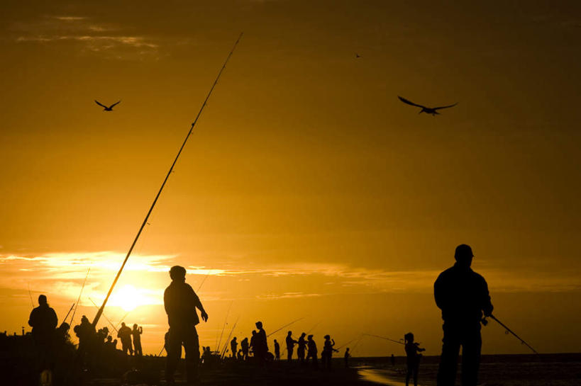 西方人,三个人,伙伴,朋友,站,横图,室外,白天,仰视,垂钓,友谊,日落,鸟,钓鱼竿,欧洲,欧洲人,飞翔,伸展,握,张开,展翅,服装,飞行,翅膀,鸟类,晚霞,霞光,落日,背光,翱翔,拿,拿着,休闲装,飞,衣服,天空,黄昏,天,站着,休闲,休闲服,橙色,彩霞,握着,服饰,渔具,逆光,张开翅膀,夕照,展开翅膀,友情,男人,男性,年轻男性,白种人,钓竿,鱼竿,夕阳,站立,半身,彩图,低角度拍摄,钓鱼,垂纶,斜阳