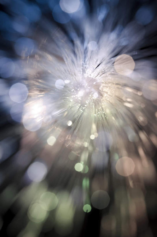 无人,竖图,室内,特写,白天,正面,热情,火,阴影,朦胧,梦幻,模糊,装饰,发光,光束,光纤,光线,火焰,影子,灯光,光亮,燃烧,华丽,修饰,点缀,未来,发亮,憧憬,衬托,美观,雅致,雅观,彩图