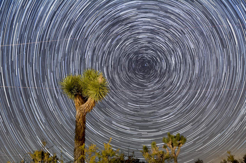 无人,公园,横图,室外,白天,夜晚,仰视,旅游,度假,美景,星空,植物,夜景,美国,景观,漩涡,娱乐,树,树木,绿色,自然,享受,休闲,景色,放松,生长,成长,杂乱,混乱,北美,北美洲,国家公园,加利福尼亚,自然风光,美洲,加州,加利福尼亚州,金州,黄金州,北亚美利加洲,亚美利加洲,约书亚树国家公园,乌云密布,紊乱,错乱,星夜,夜空,彩图,低角度拍摄