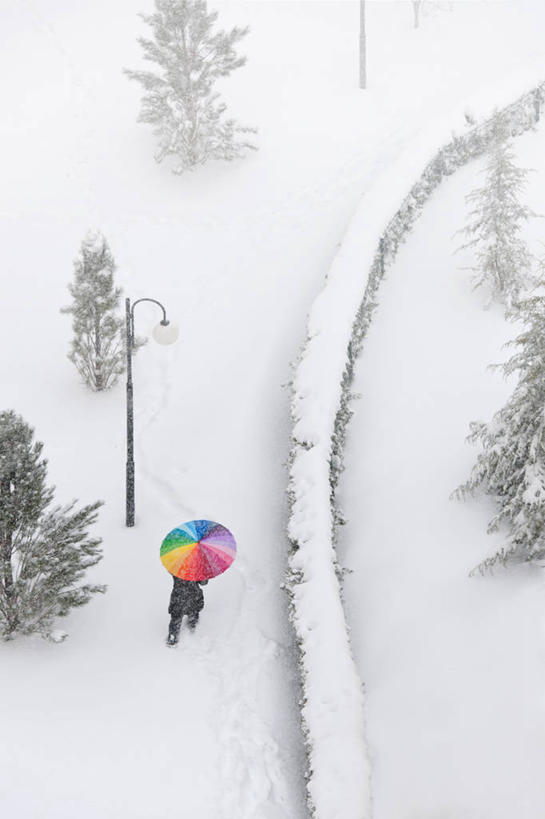 西方人,一个人,走,竖图,俯视,室内,白天,雪,植物,大雪,道路,路,路灯,照明,欧洲,欧洲人,仅一个年轻女性,仅一个女性,仅一个人,服装,伞,雨伞,积雪,雪景,冬季,冬天,小路,灯光,交通,休闲装,阳伞,灯,树,树木,衣服,绿色,自然,休闲,休闲服,寒冷,服饰,乡间小路,生长,成长,照亮,照明设备,严寒,年轻女性,女人,女性,白种人,步行,散步,走路,彩图,高角度拍摄,全身