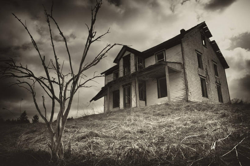 无人,家,横图,室外,白天,仰视,旅游,度假,草地,草坪,美景,植物,加拿大,房屋,屋子,景观,乌云,云,阴天,云朵,枝条,云彩,娱乐,楼房,住宅,草,树枝,一个,绿色,天空,自然,天,享受,休闲,景色,放松,单个,北美,北美洲,昏暗,阴沉,自然风光,美洲,新斯科舍,北亚美利加洲,亚美利加洲,新斯科舍省,虬枝,枝杈,彩图,低角度拍摄,房子,诺省,斯高沙省,新省,新斯高沙省,新斯科细亚省